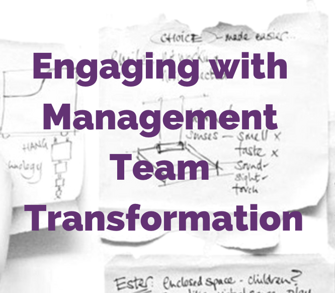 Engaging with Management Team Transformation